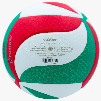 BALON VOLEIBOL PROFESIONAL MOLTEN V5M5000