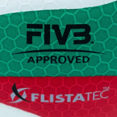 BALON VOLEIBOL PROFESIONAL MOLTEN V5M5000