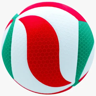 BALON VOLEIBOL PROFESIONAL MOLTEN V5M5000