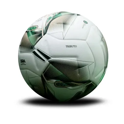BALON FUTBOL GOLTY PROFESIONAL LATIR FINAL