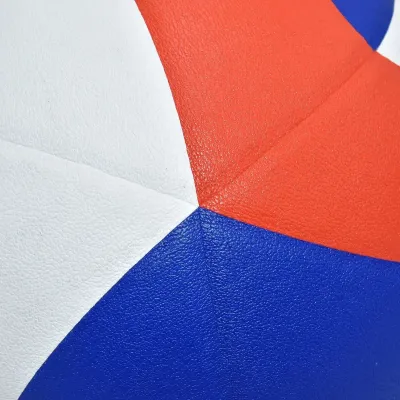 Balón de Boleivol PRO Golty No 5 BGPRO5 Worldsport tienda deportiva