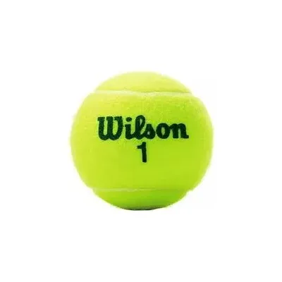 TARRO PELOTAS DE TENIS WILSON US OPEN PUNTO VERDE