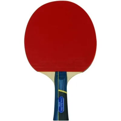 RAQUETA PING PONG BUTTERFLY TIMO BOLL 2000